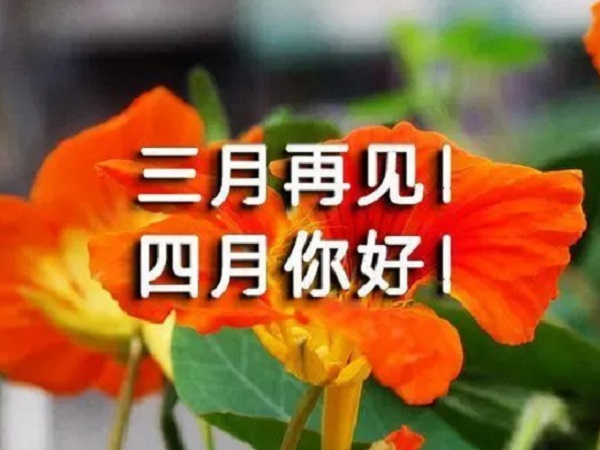 告别3月迎接4月的个性句子 发朋友圈迎接四月的说说